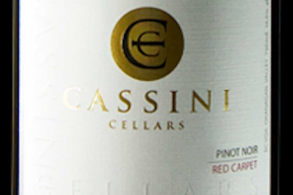 Cassini Pinot Noir 750ml (1 x 750ml)