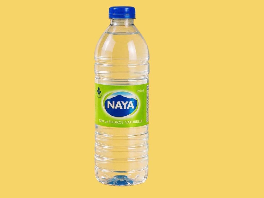 Water Bottle (500 ml)