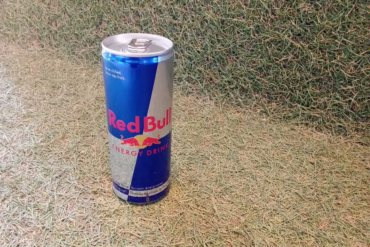 Redbull (1 x 250 ml)