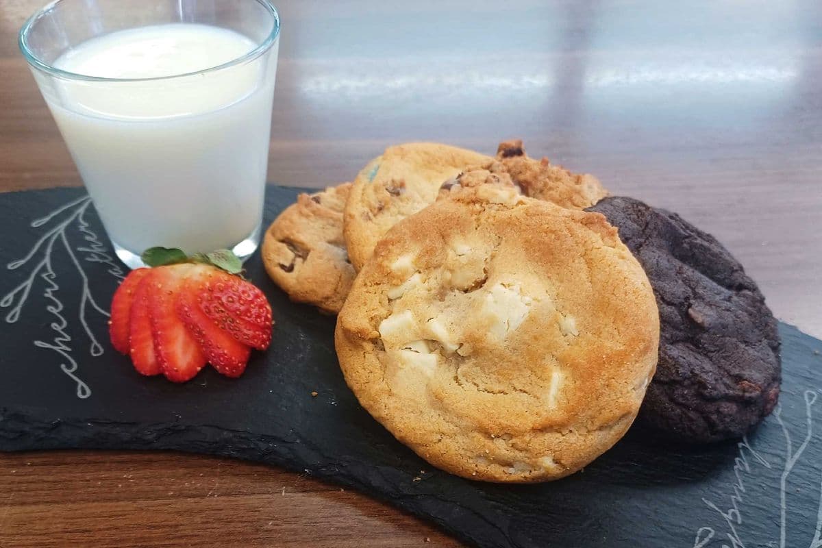 Cookies Tray (Pack of 5)