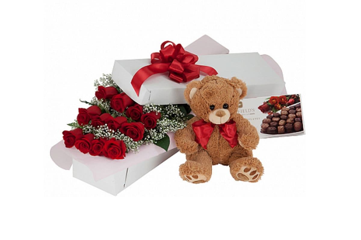 All My Love -Wrapped Red Roses Bouquet with stuffie and chocolate