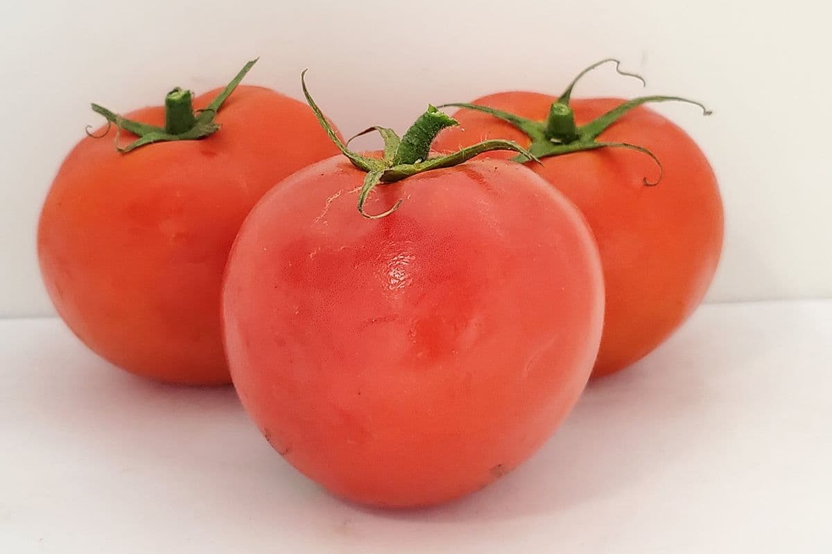 Tomato's