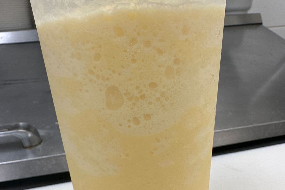 SD3.Combo 02 Mango slush-組合02芒果雪泥