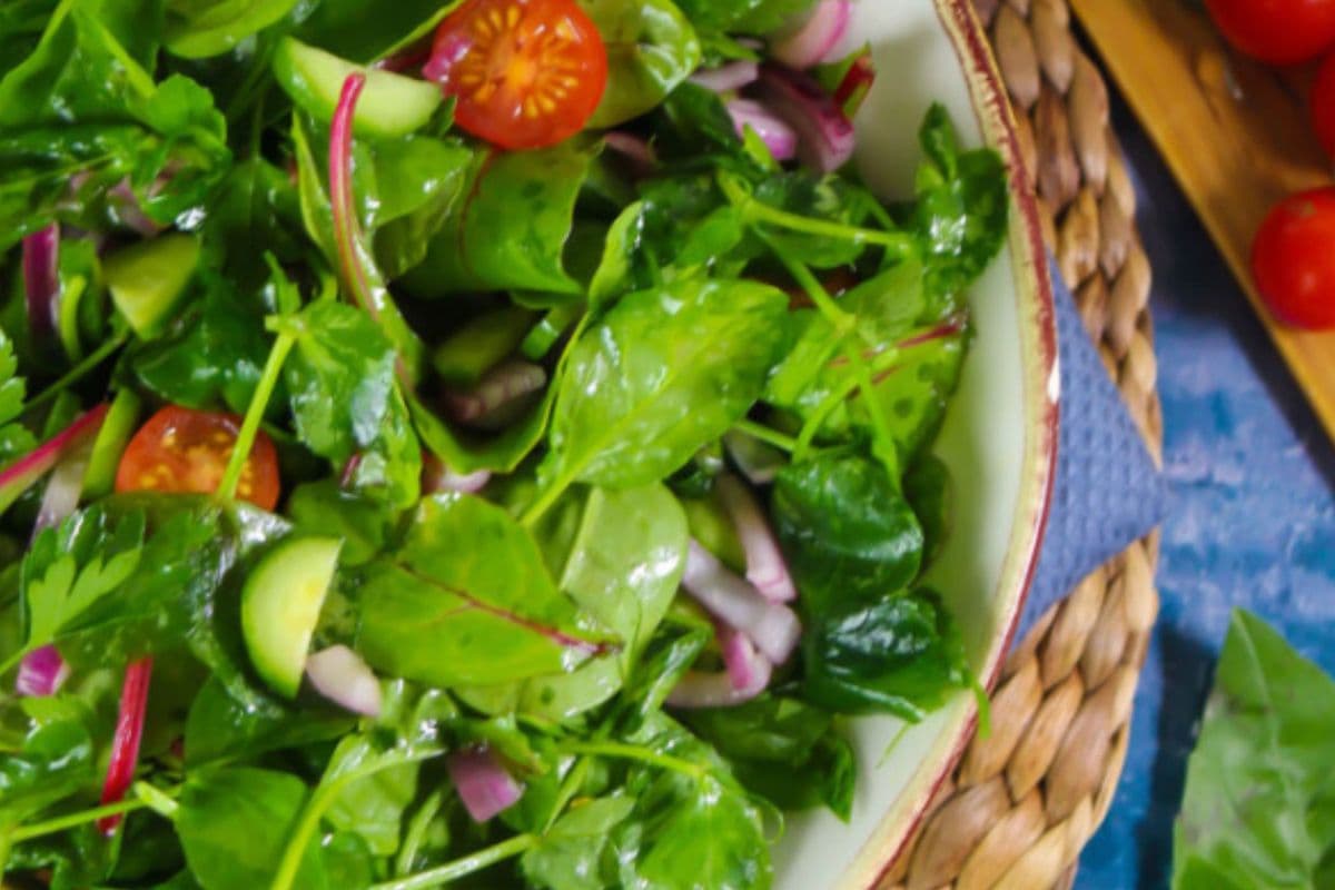 Garden Salad