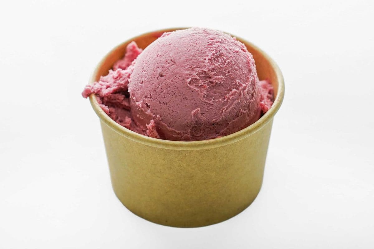 Kids Scoop