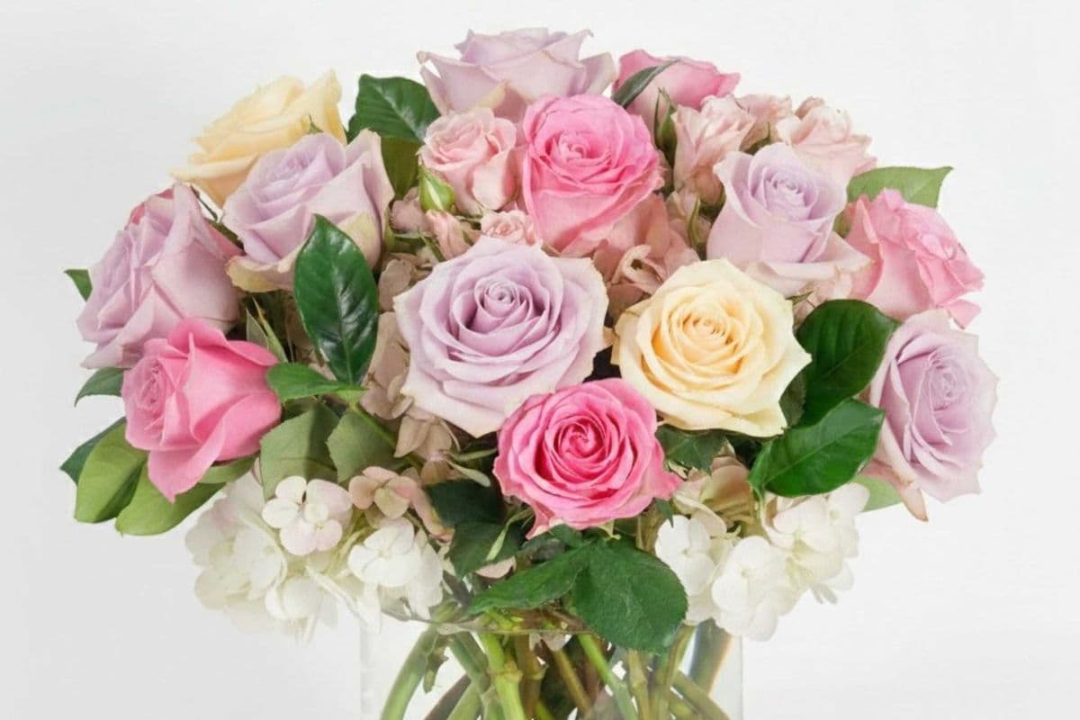Pastel Rose Vase - 15 Roses
