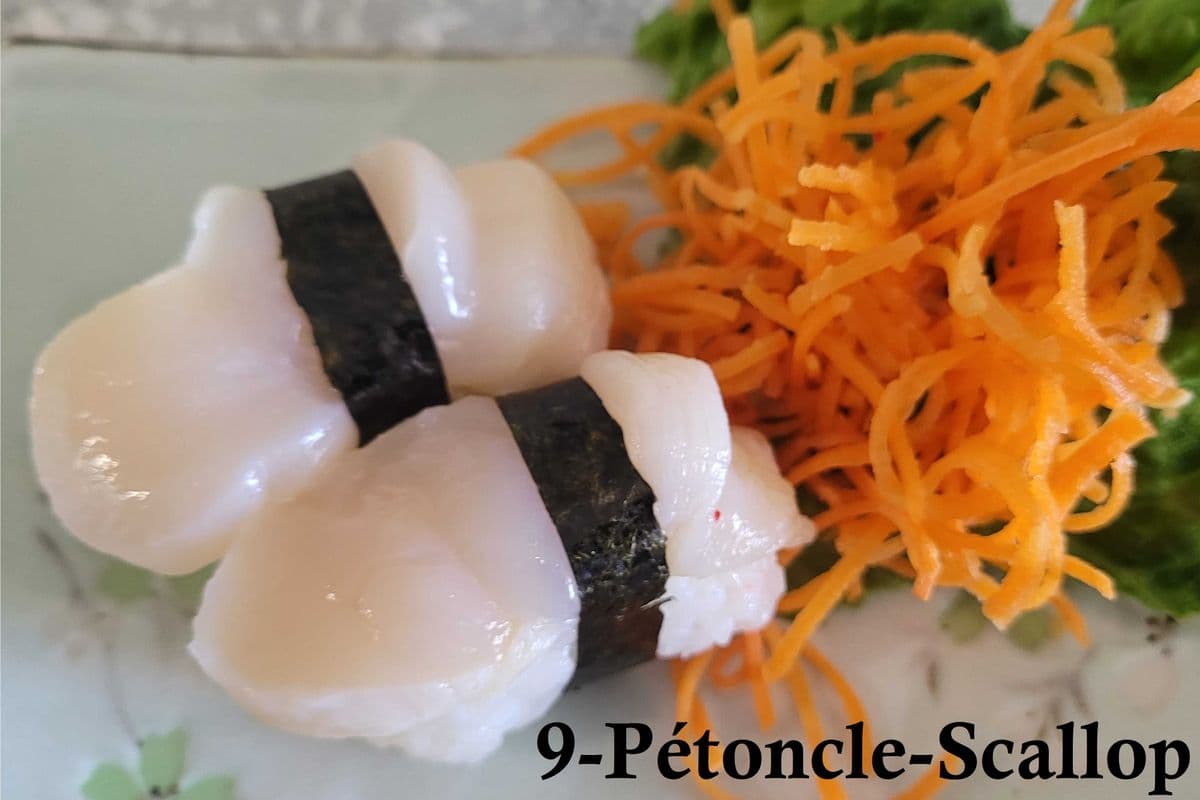 9 Hotate pétoncle