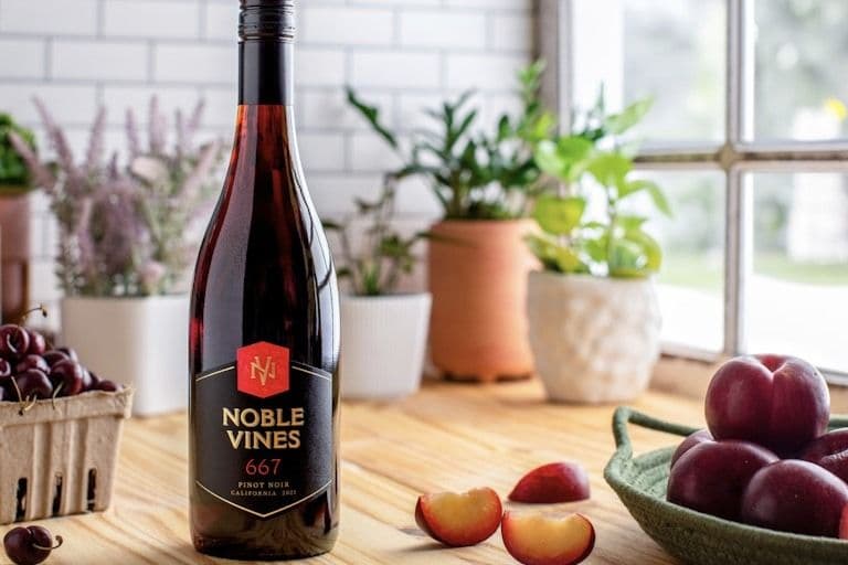 NOBLE VINES 667 PINOT NOIR (750ML) 13.5% ABV (1 x 750 mL)