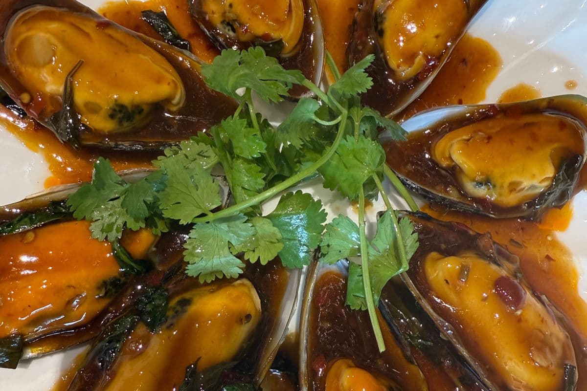 22. Steamed Mussels (8 pcs)