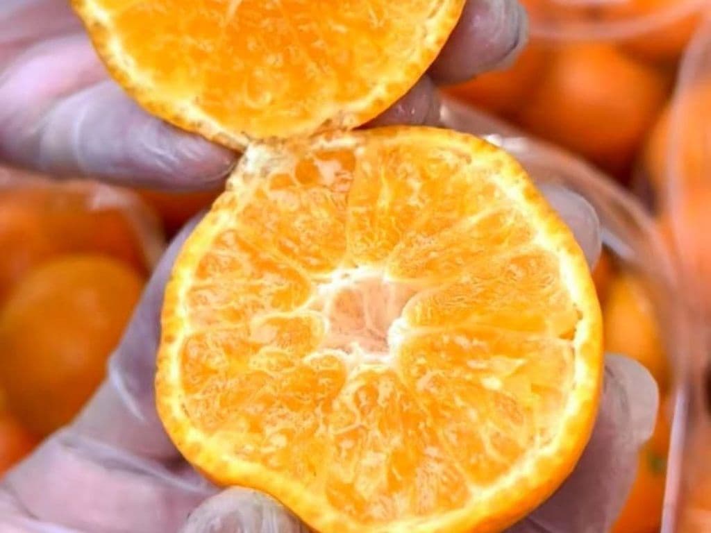 (Super Sweet) Mandarin Sugar 2lb 