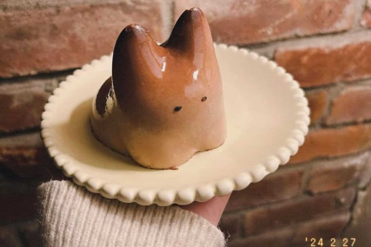 Cat Pudding - Coco Flavour