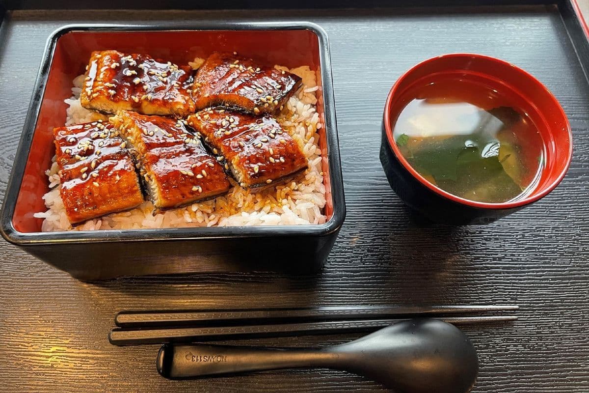 Unagi Don