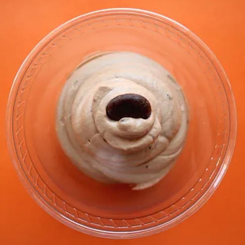 Mousse au chocolat / Chocolate Mousse