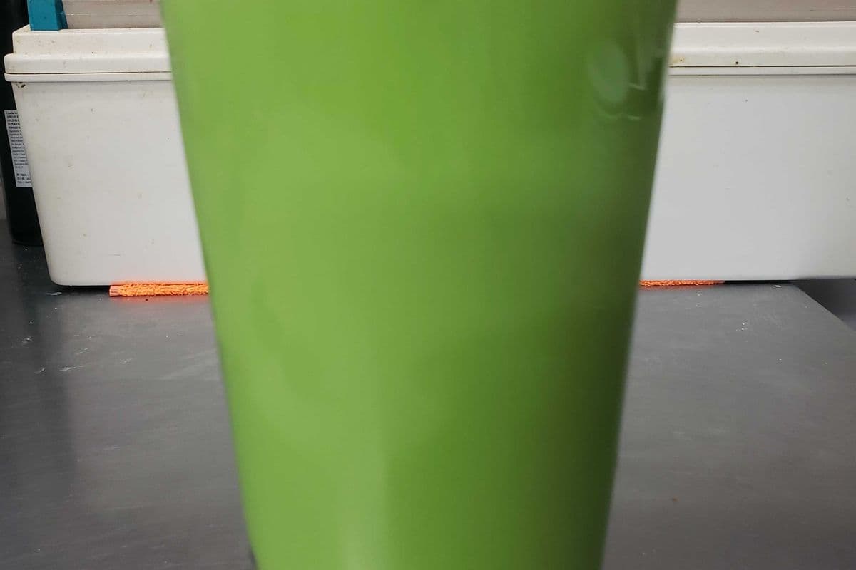 Avocado Bubble Tea