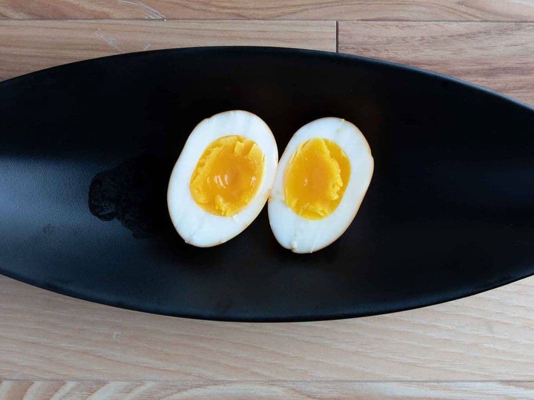 EXTRA oeuf marine
