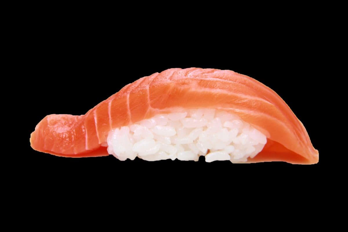 Salmon Nigiri