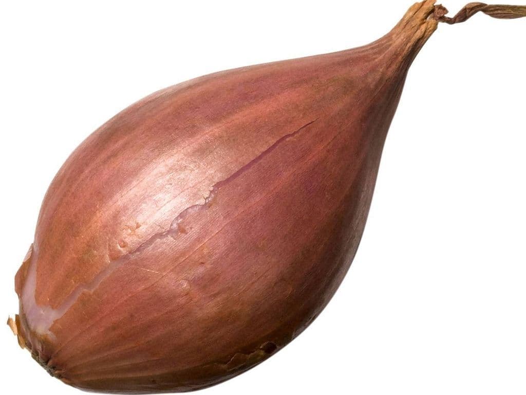 Shallots (5 pcs)