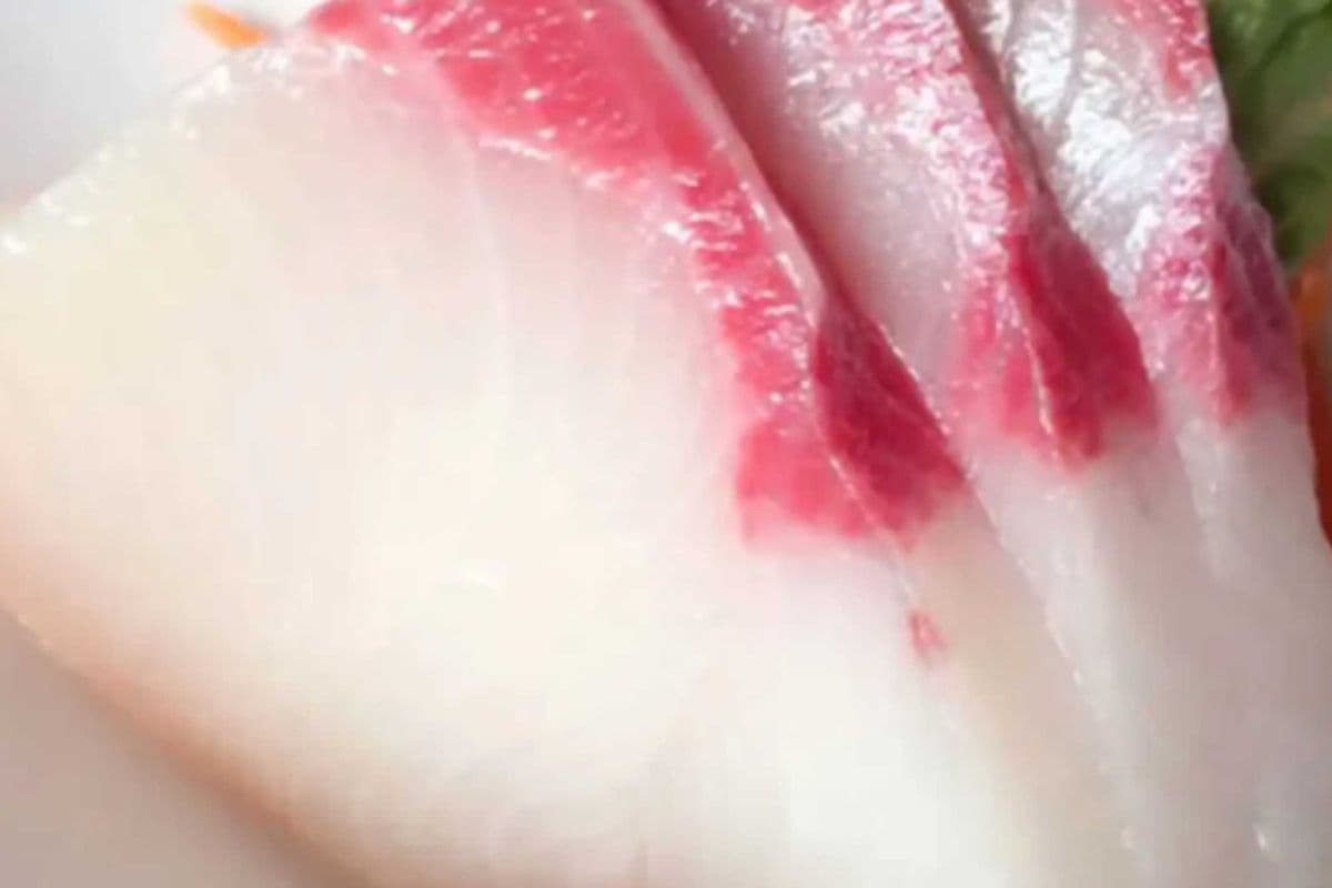 63. Hamachi Sashimi
