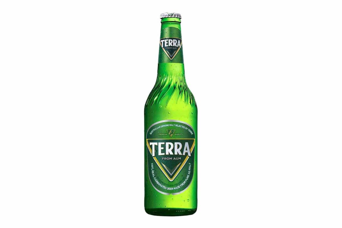 Jinro Terra Beer (1 x 500mL)