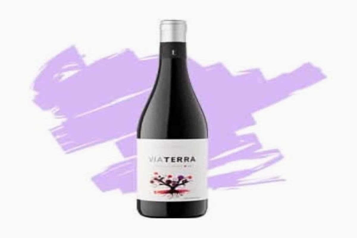 VIA TERRA RED (1 x 750ML)