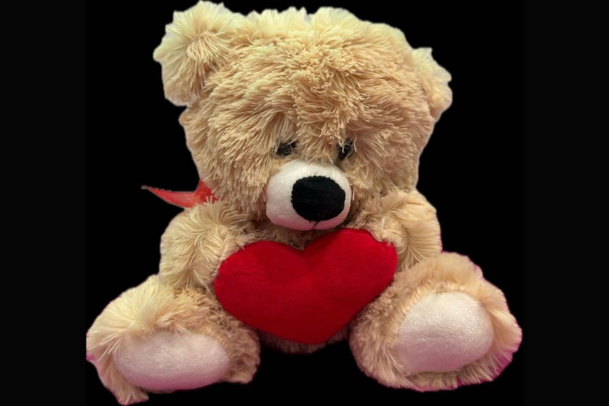 Honey Love Teddy