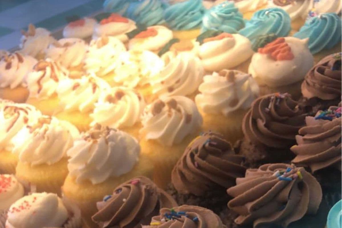 Day-Old Cupcake 6 pk