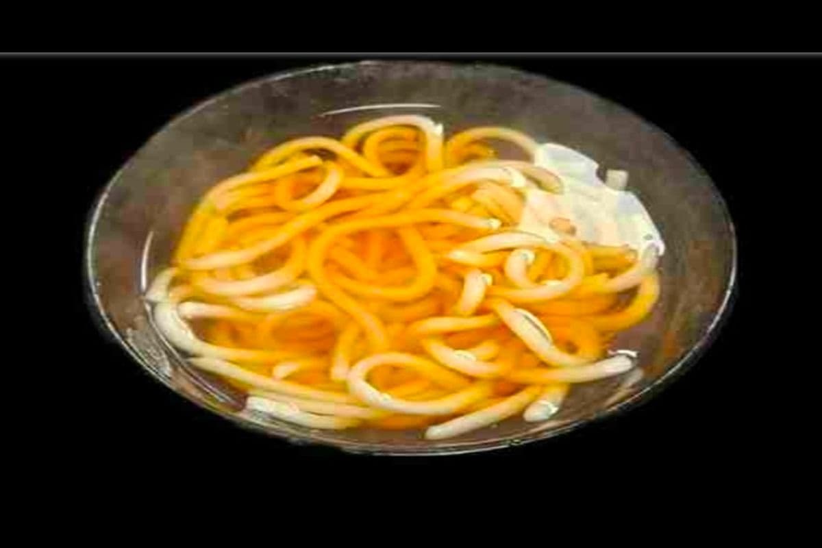 Plain Udon
