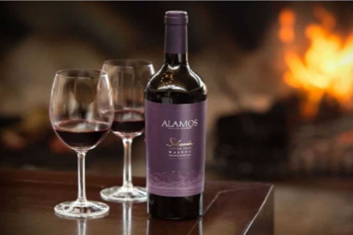 ALAMOS SELECCION MALBEC (1 x 750 ML)
