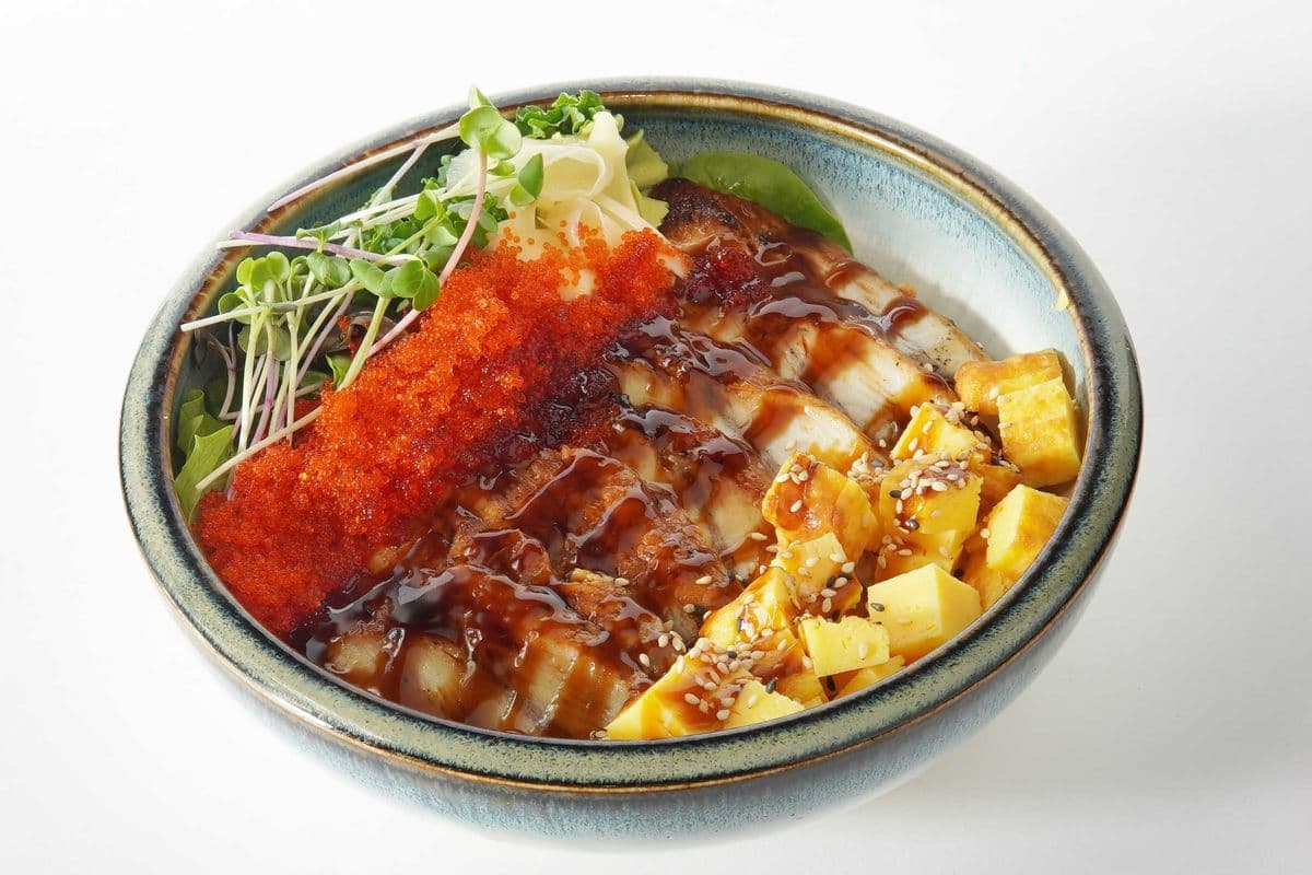 Unagi Don