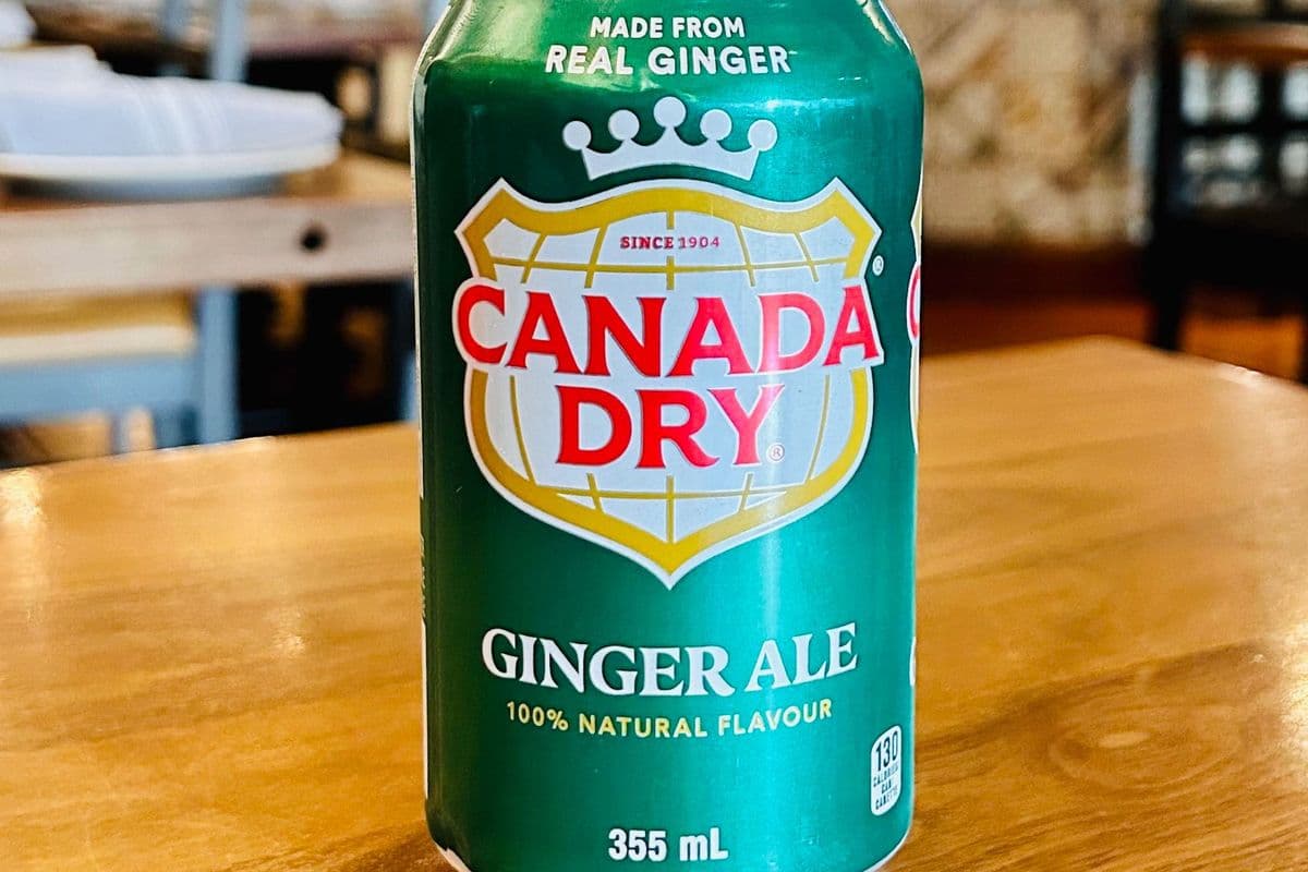 Canned Ginger Ale (355 ml)
