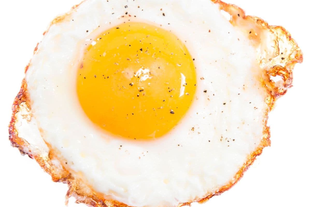 Fried Egg