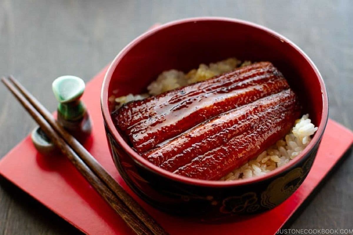 Unagi Don