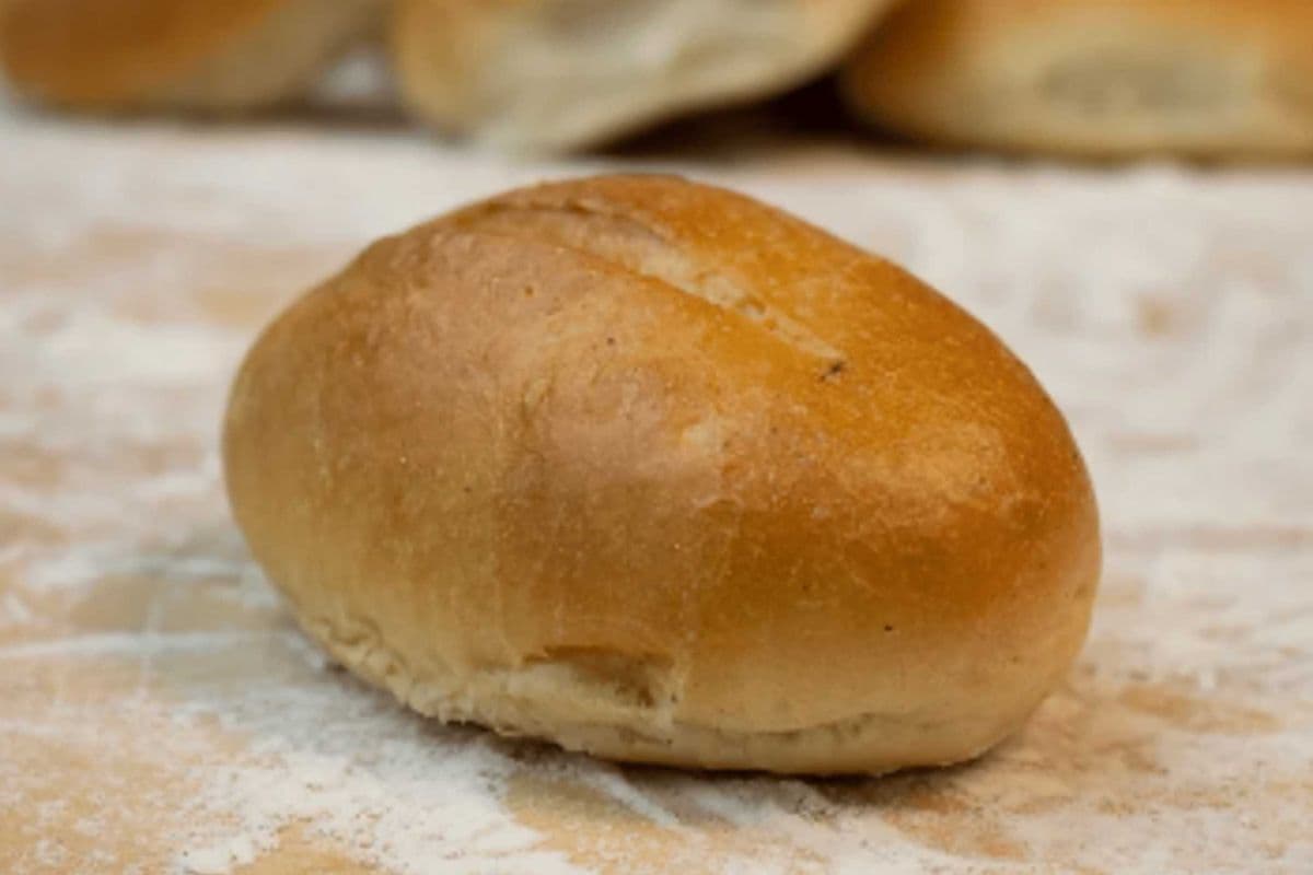 Dinner Roll