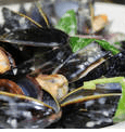 Mussels