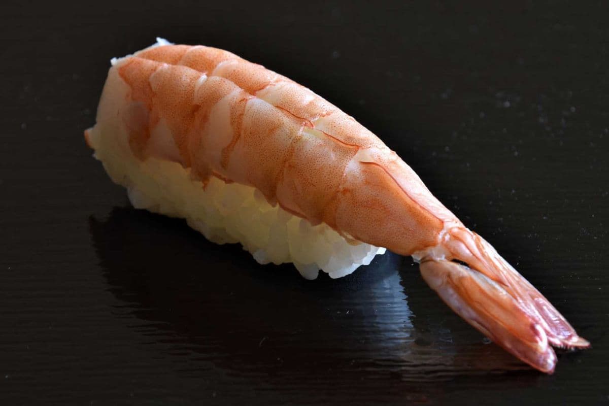 Shrimp (Ebi) Nigiri