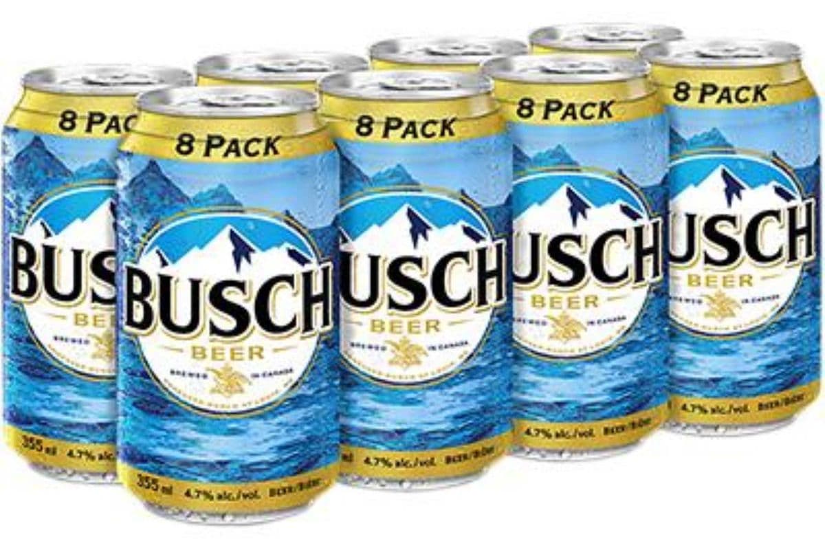 Busch (8 Cans) (8 x 355ml)