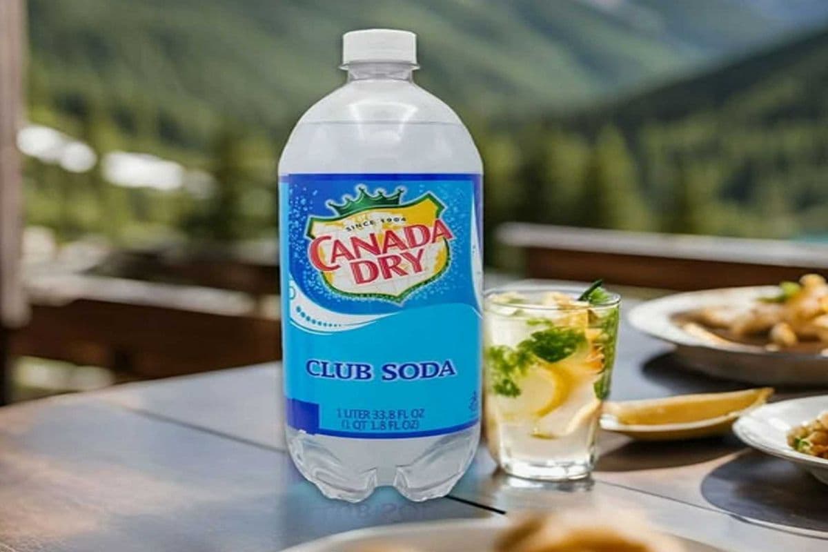 CLUB SODA (2L)
