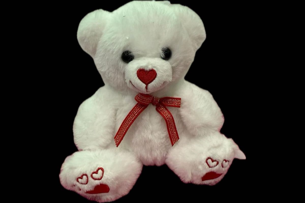 White & Red Teddy Bear