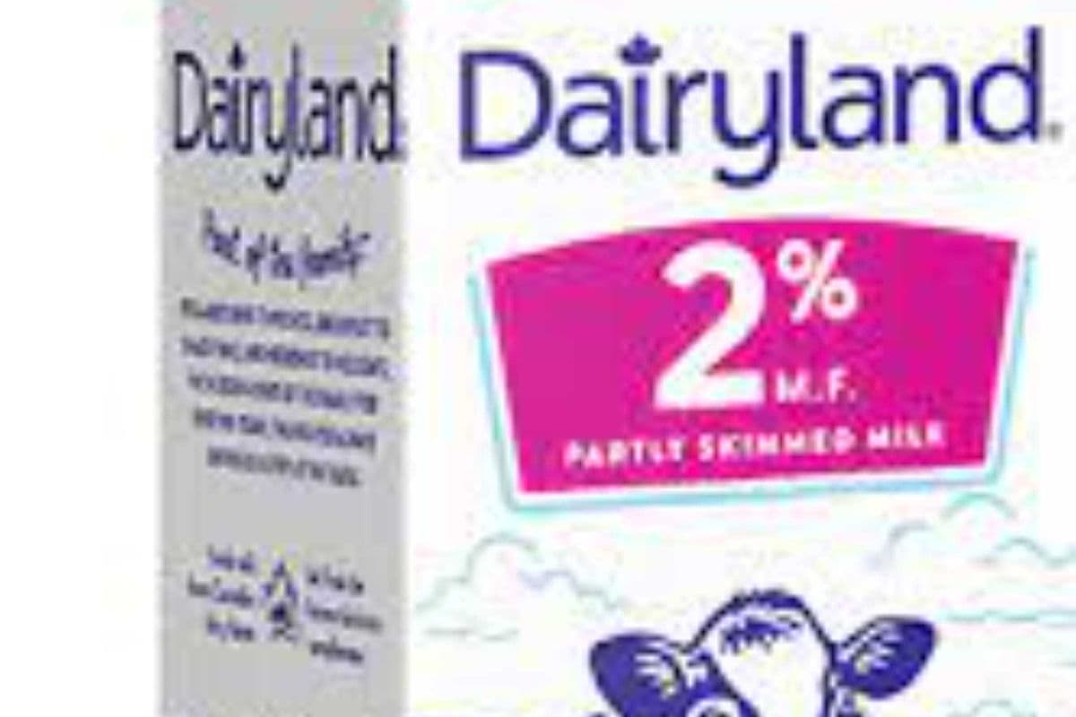 DAIRYLAND 2% MILK (2L)