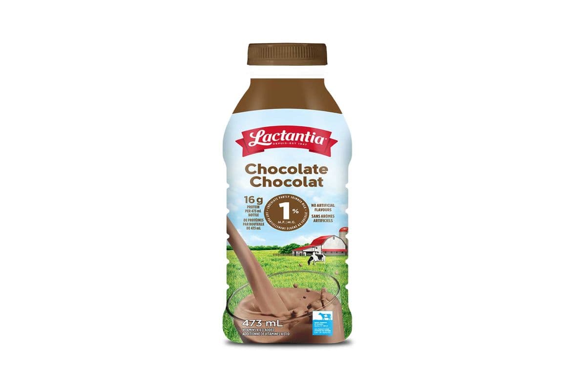 Chocolate Milk (473ml)