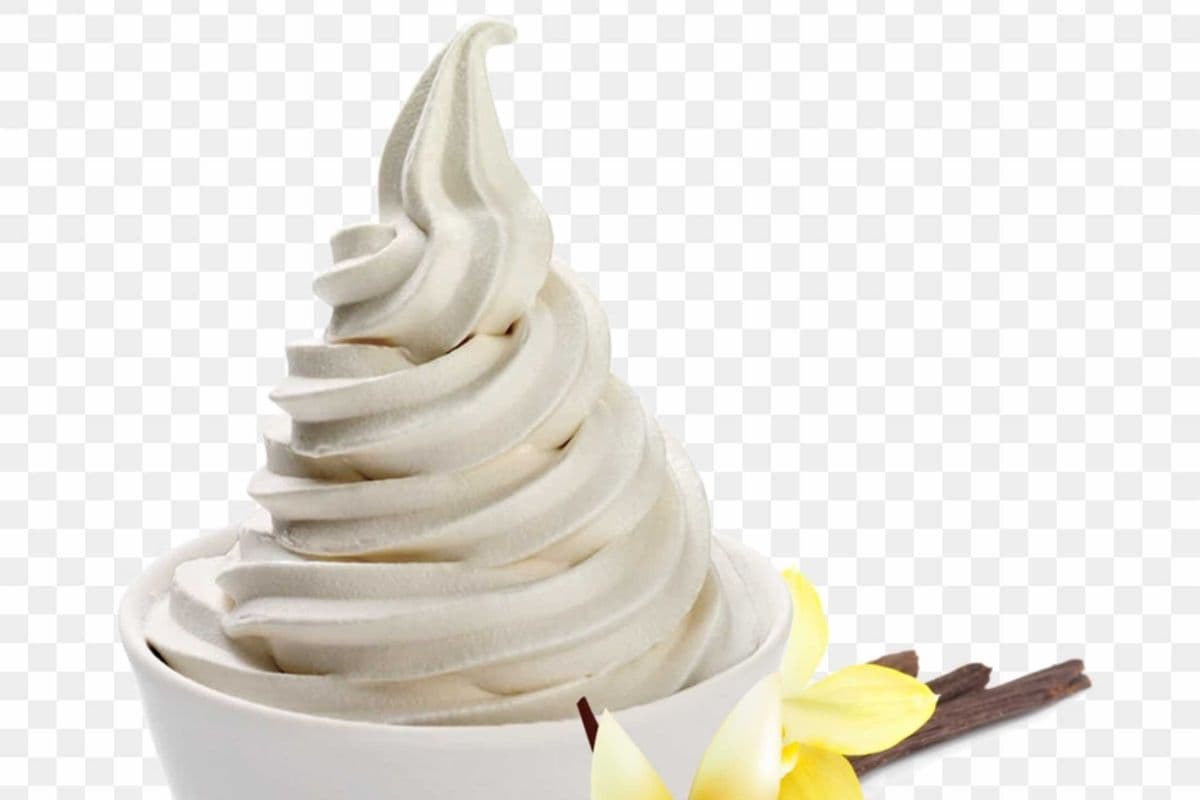Classic Vanilla Froyo (250 g) (~ 250g)
