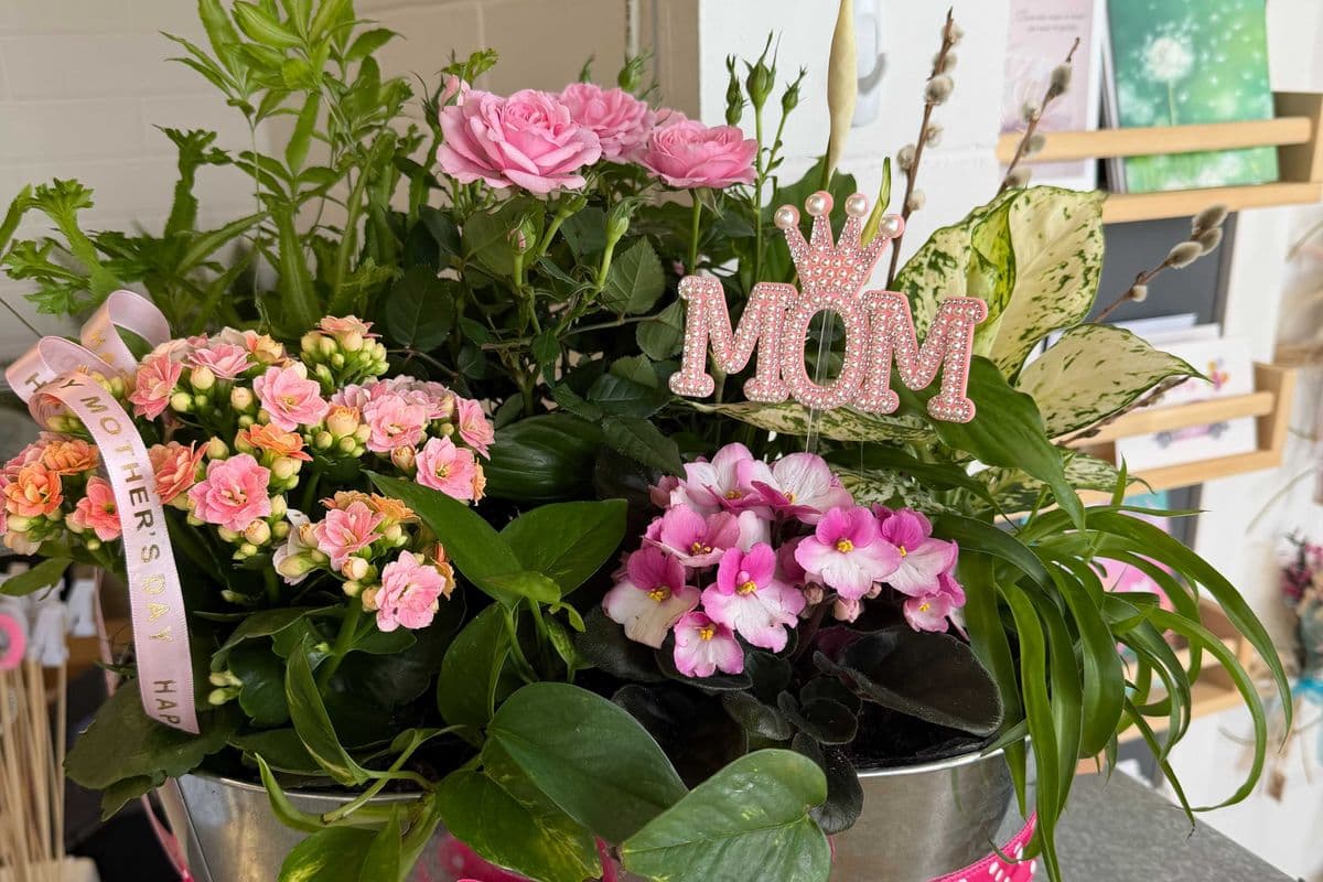 Premium Planter