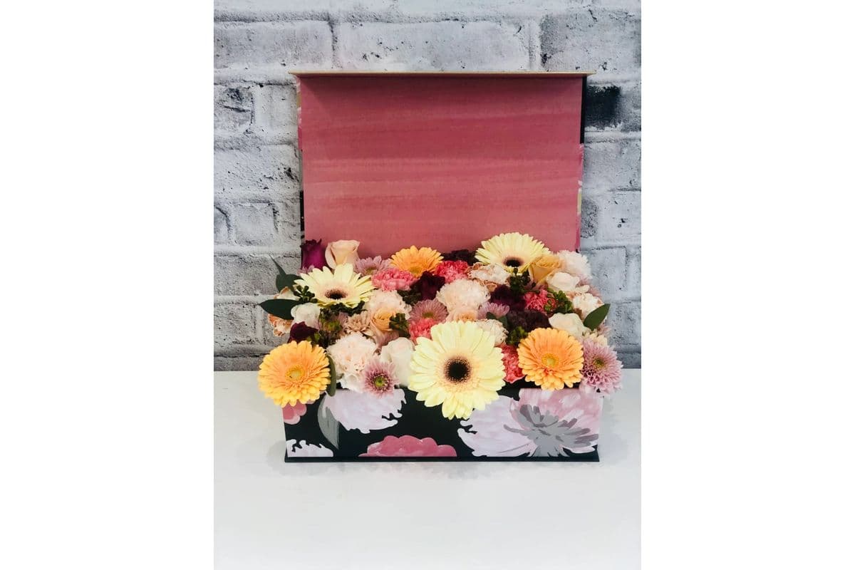 Box of Beauty