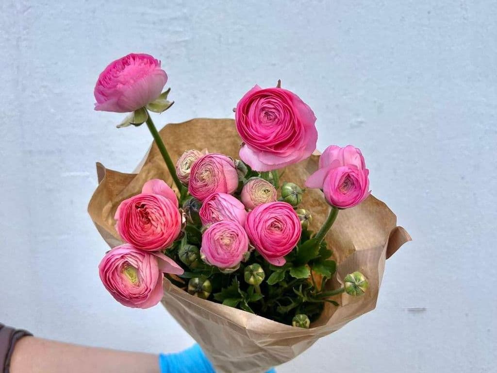 (TOP SELLER) Local Flowers - Ranunculus Pink (10 stems)