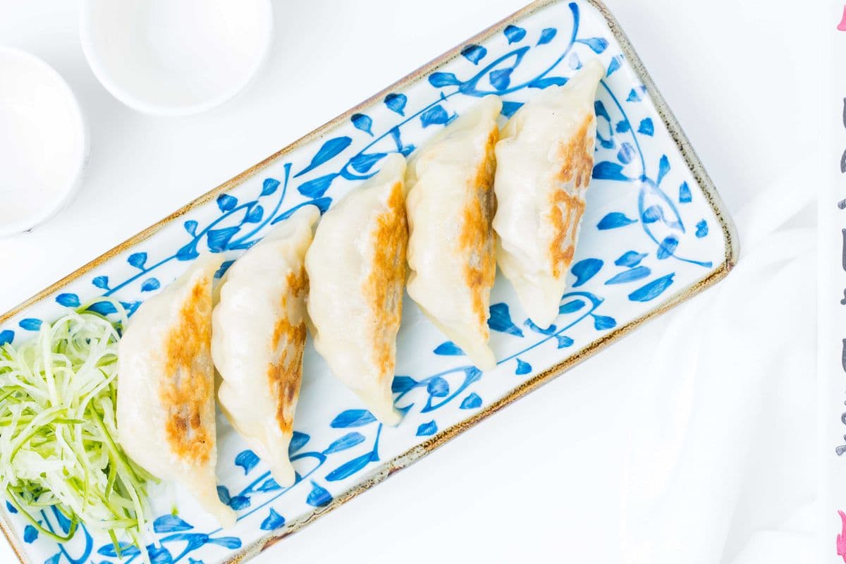 16. Pan-Fried Dumplings (5 pcs)