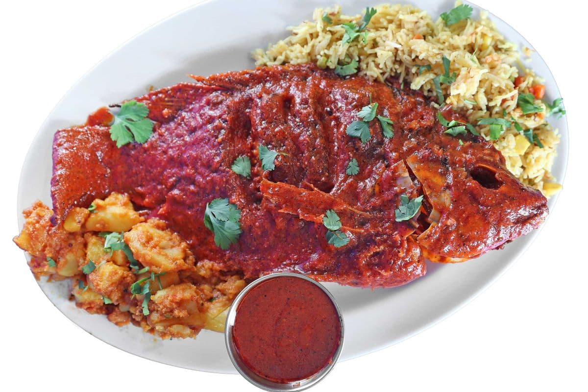 Kundu Tilapia