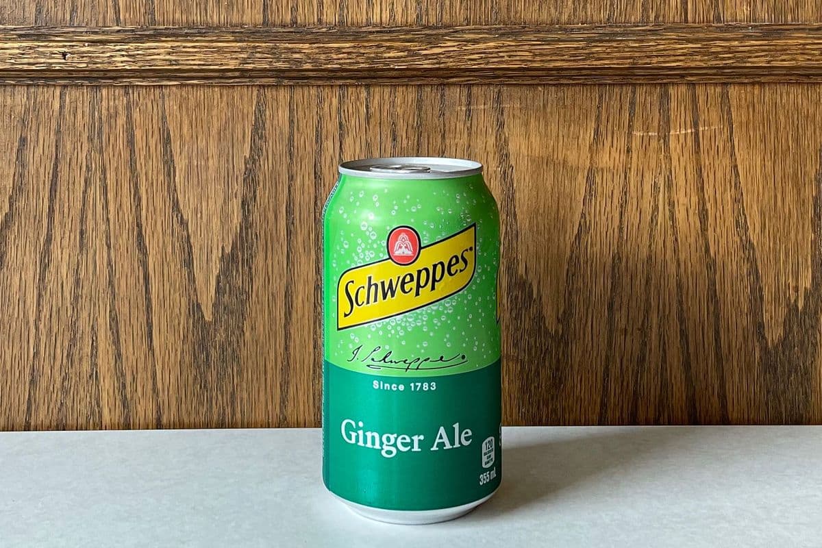 Ginger Ale (355 ml Can)