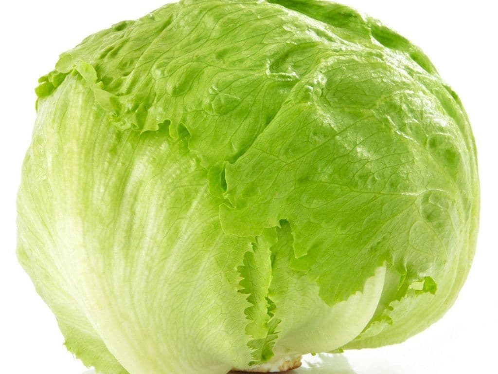 Iceberg Lettuce (Each)
