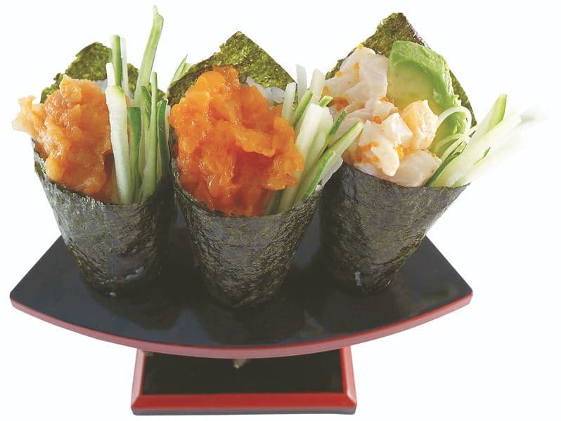 F4. Spicy Cone Family