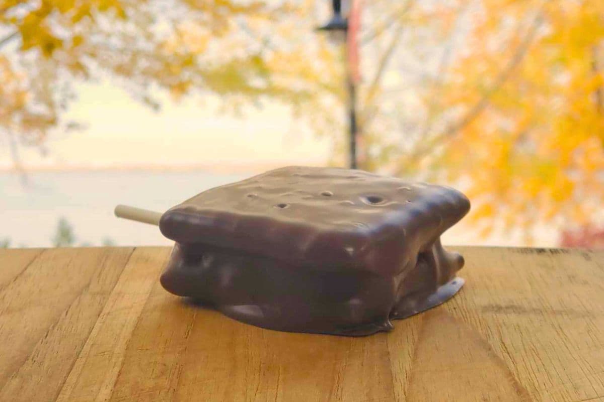 Campfire Caramel S'mores